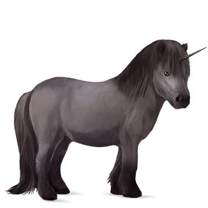 unicorno pony fjord brunblakk