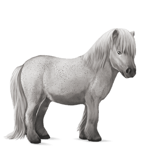 pony haflinger castano biondo platino