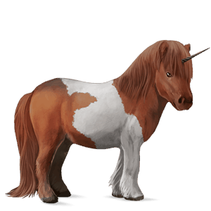 unicorno da corsa curly castano scuro
