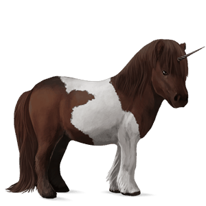 unicorno pony shetland tobiano castano scuro