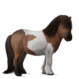 pony kerry bog grigio chiaro