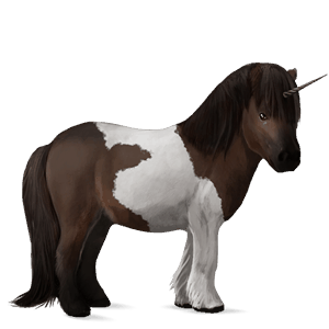 unicorno pony shetland tobiano castano scuro