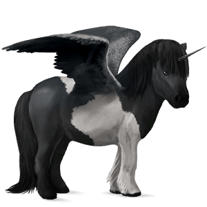 unicorno pony alato  connemara castano biondo platino