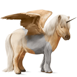 unicorno pony alato  shetland tobiano palomino