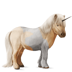 unicorno pony welsh baio scuro
