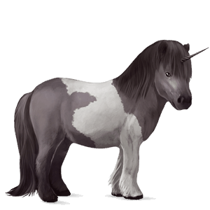 unicorno pony grigio pezzato