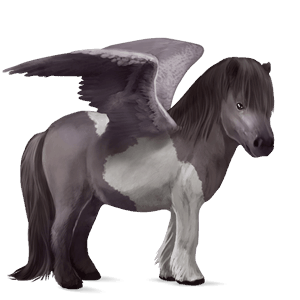 pegaso pony shetland baio rossastro