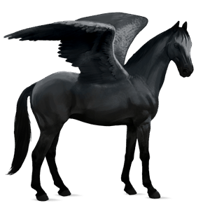 pegaso da corsa nero