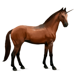 unicorno da corsa baio