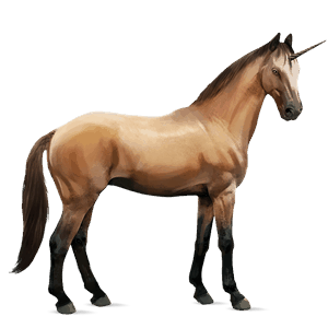 unicorno da corsa castano scuro