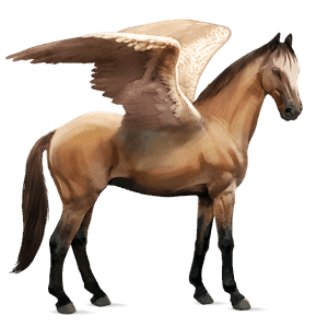 pegaso da corsa trakehner baio scuro