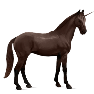 unicorno da corsa trottatore francese castano scuro
