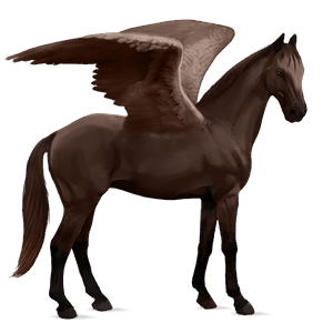 pegaso da corsa trakehner castano scuro