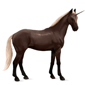 unicorno da corsa selle français castano