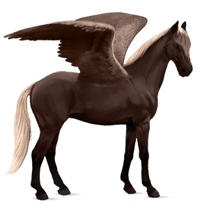 pegaso da corsa holstein grigio pezzato