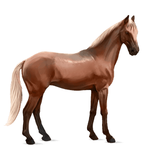 cavallo da corsa hanoverian castano biondo platino