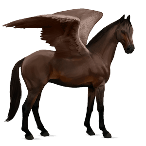 pegaso da corsa holstein castano scuro