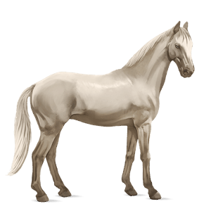 cavallo da corsa hunter irlandese baio scuro