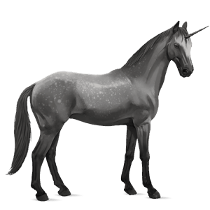 unicorno da corsa grigio pezzato