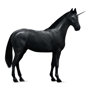 unicorno da corsa hanoverian nero