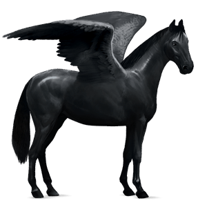 pegaso da corsa hanoverian nero