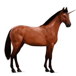 unicorno da corsa trakehner baio