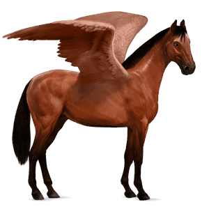 pegaso da corsa trakehner baio rossastro