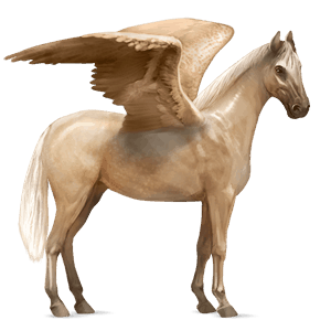 pegaso da corsa hanoverian castano