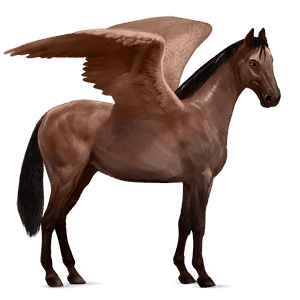 pegaso da corsa baio