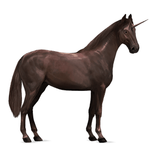 unicorno da corsa camargue grigio pezzato