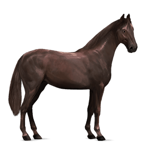cavallo da corsa castano scuro