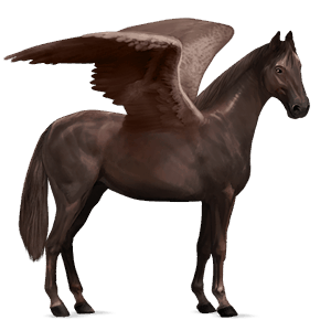 pegaso da corsa castano scuro