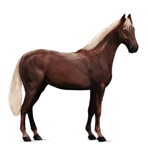 cavallo da corsa castano biondo platino