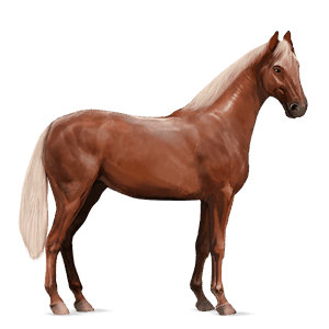 cavallo da corsa hanoverian castano biondo platino