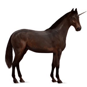 unicorno da corsa baio scuro