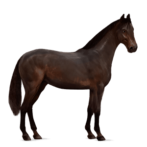 pony haflinger castano biondo platino