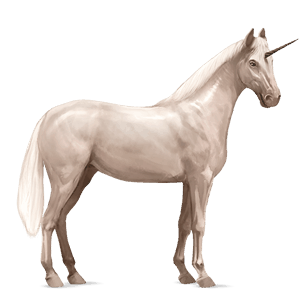 unicorno da corsa knabstrupper baio