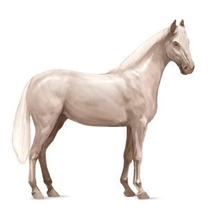 cavallo da corsa hanoverian grigio chiaro