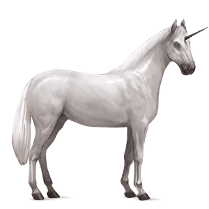 unicorno da corsa overo nero