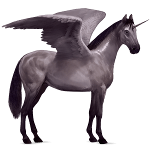 unicorno pony alato  kerry bog tobiano grigio pezzato