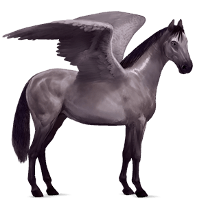 pegaso da corsa castano