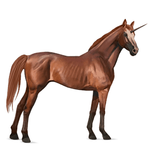 unicorno da corsa castano