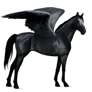 pegaso da corsa hanoverian grigio pezzato