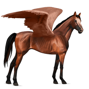 pegaso da corsa holstein baio