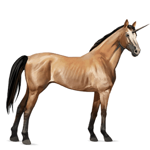 unicorno da corsa holstein baio