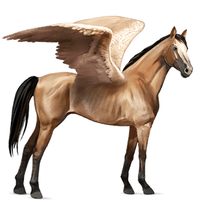 pegaso da corsa knabstrupper fiocchi di neve nero