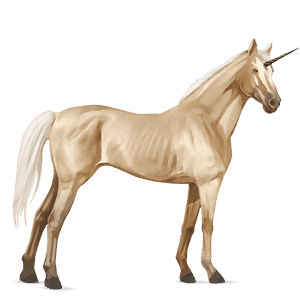 unicorno da corsa castano