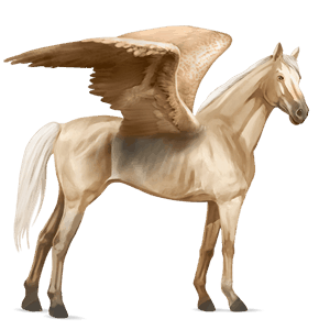 pegaso da corsa purosangue inglese palomino