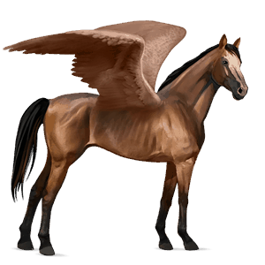 pegaso da corsa hanoverian baio