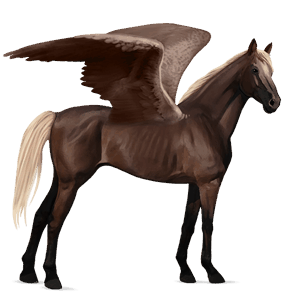 pegaso da corsa purosangue inglese baio scuro